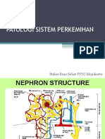 Patologi Sistem Perkemihan-Ppni