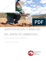 Identificacion y Analisis Del Impacto Ambiental