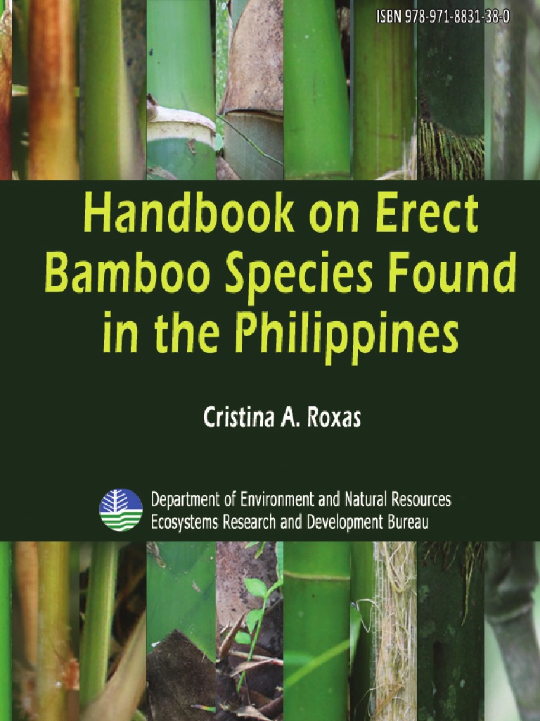 literature review on bamboo pdf