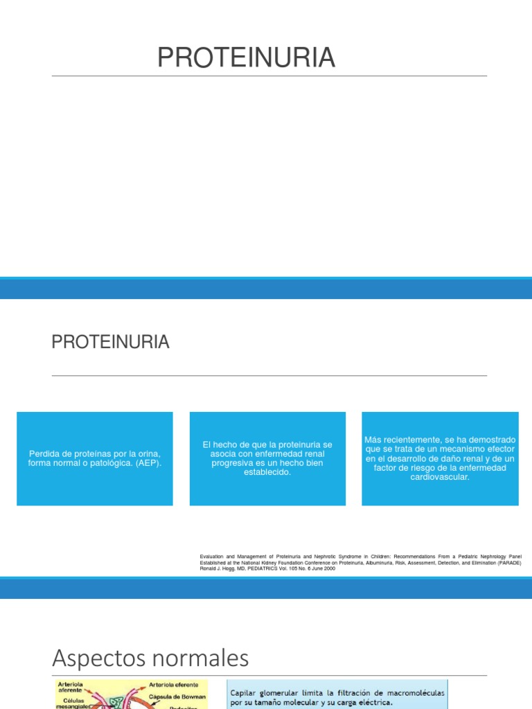 Proteinuria en Pediatria PDF Proteínas Sistema urinario