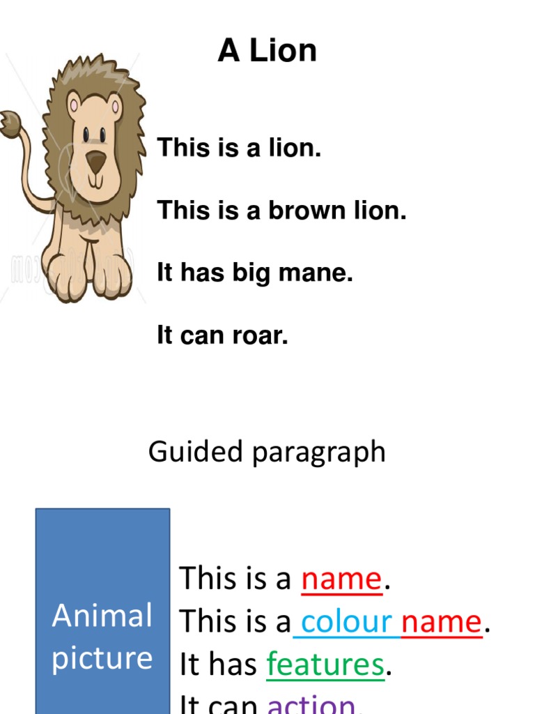 Example & Guided Paragraph | PDF
