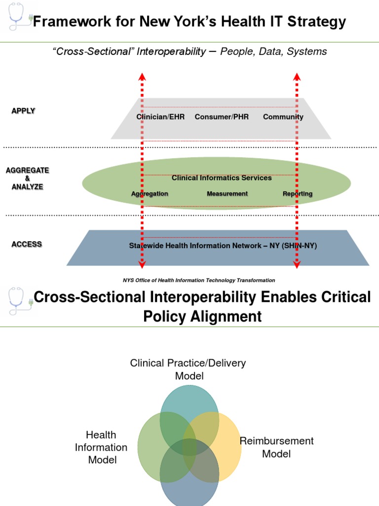 New York Health IT Strategy Framework | PDF