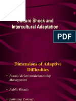 Culture Shock (Intercultural Adaptation)