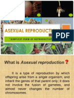 "Simplest Form of Reproduction": Group 2