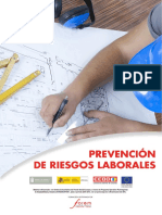 Prevencion de Riesgos Laborales