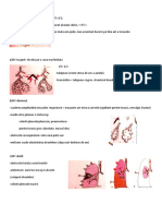 Ascultatia Pulmonara