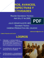 Cadena Productiva Del Caucho: Logros, Avances, Perspectivas y Actividades