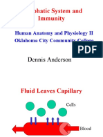 Lymphatic System and Immunity