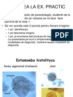 Protozoare