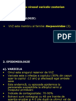 3. Boli Eruptive-Varicela b