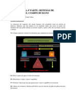 BIOMECANICA Sistema de Palancas