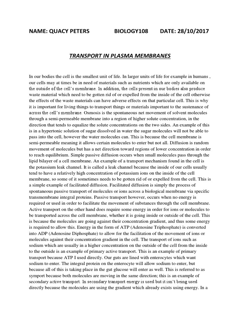 Fats lipids essay image