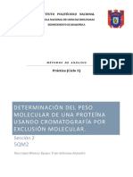 329579870-Determinacion-del-peso-molecular-de-una-proteina-utilizando-cromatografia-por-Exclusion-Molecular.pdf