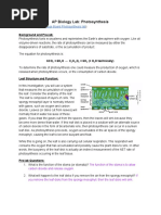 Ap Photosynthesis Lab