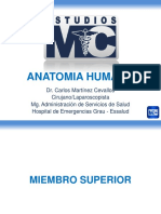 PPT-ANATOMIAHUMANA.pdf