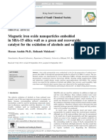 Magnetic Iron Oxide Nanoparticles Embedded PDF