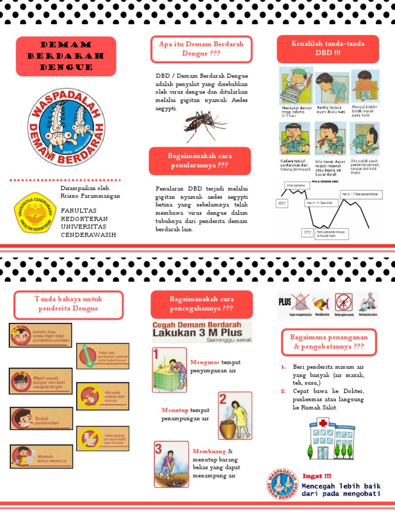 Leaflet Penyuluhan DBD KrisnoP