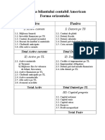 Schema Bilantului Contabil American