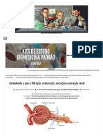 Entendendo o Que é Filtração, Reabsorção, Secreção e Excreção Renal _ Biomedicina Padrão