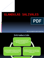 Glandulas Salivales