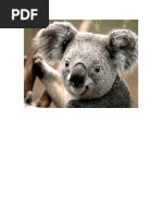 New Rich Text Document (2)