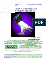 revista enfermedades.pdf