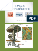 Hongos Fitopatogenos PDF
