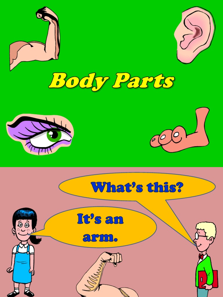 Body Parts Powerpoint | PDF