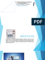 Tecnic Amoxicilina 1