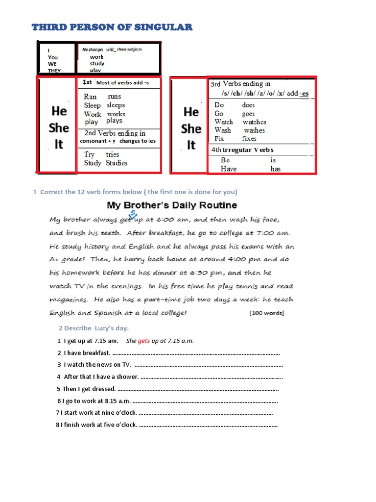 Third Person Singular Verb Forms Exercise | PDF | Language Arts ...