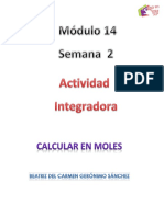 Geronimo Sanchez_Beatriz Del Carmen_M14S2_ Calcularenmoles