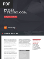 FiberCorp Informe Paper 2017