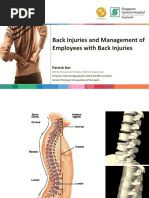 Ergonomic Issues in Workplace 