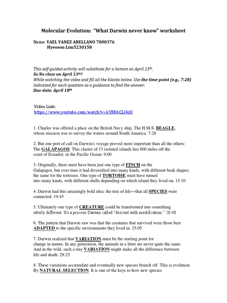 Molecular Evolution Worksheet Mutation Gene
