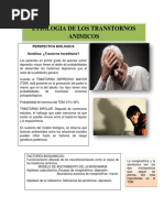 ETIOLOGIA DE LOS TRASTORNOS ANIMICOS