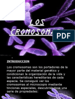 Cmc Cromosoma