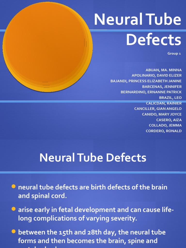 Neural Tube Defects Group 1 PDF Medical Specialties