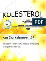 Kolesterol