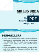 Siklus Urea