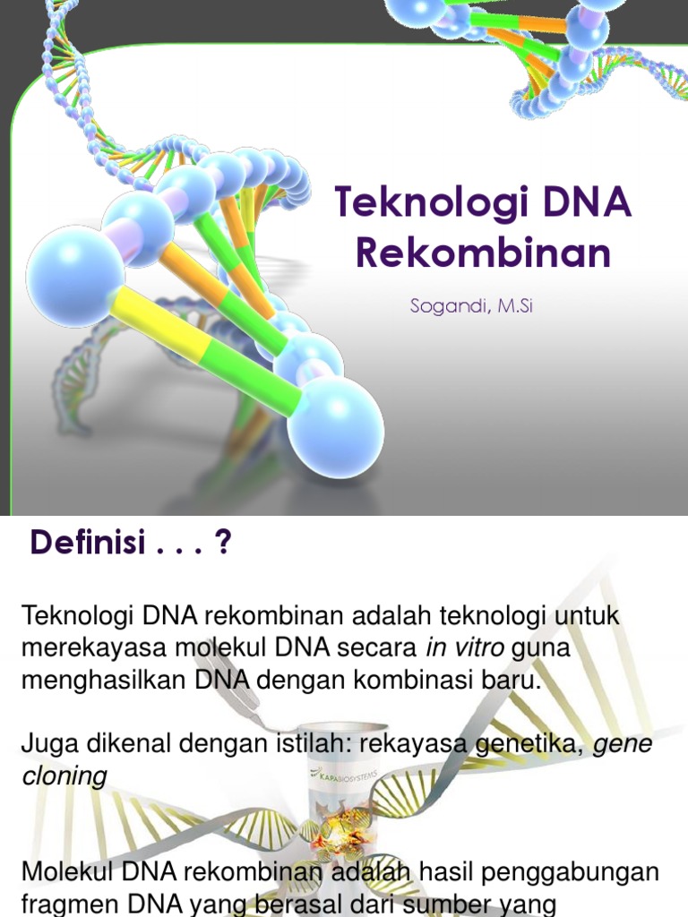 Aplikasi dan Definisi Teknologi DNA Rekombinan | PDF