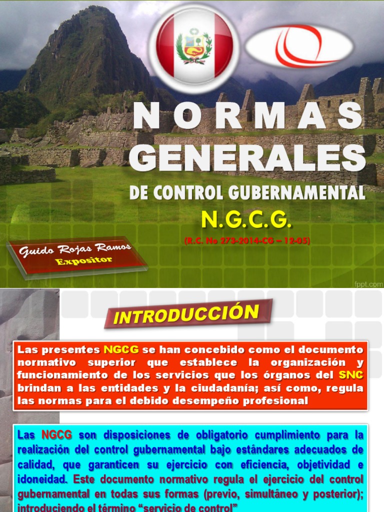 Ngcgs Normas Grales De Ctrl Gub1 De 2pdf