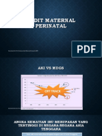 Audit Maternal Perinatal