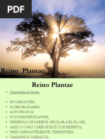 REINO PLANTAE características dos grupos.ppt