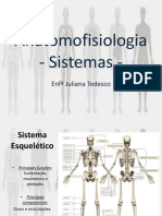 03 - Anatomofisiologia sistemas