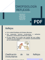 Anatomofisiología Reflejos