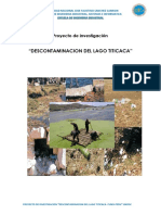 Proyecto Lago Titicaca - Docx Terminado