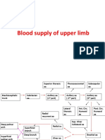 Blood Supply of Upper Limb