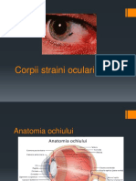 Corpi Straini Oculari