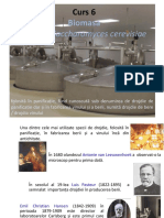 Curs 6-Biomasa-Drojdia de   panificatie.pdf