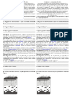 A Origem e A Composição Do Solo Atividade